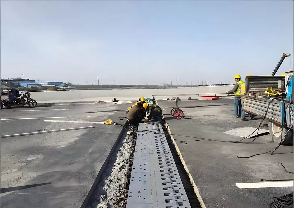 Finger Expansion Joint