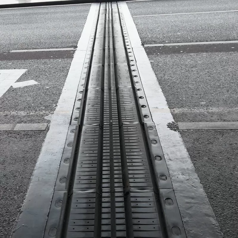 Elastomeric Expansion Joint
