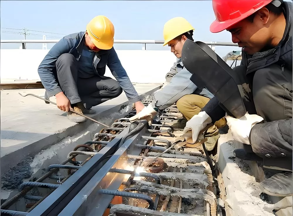 Strip Seal Expansion Joint